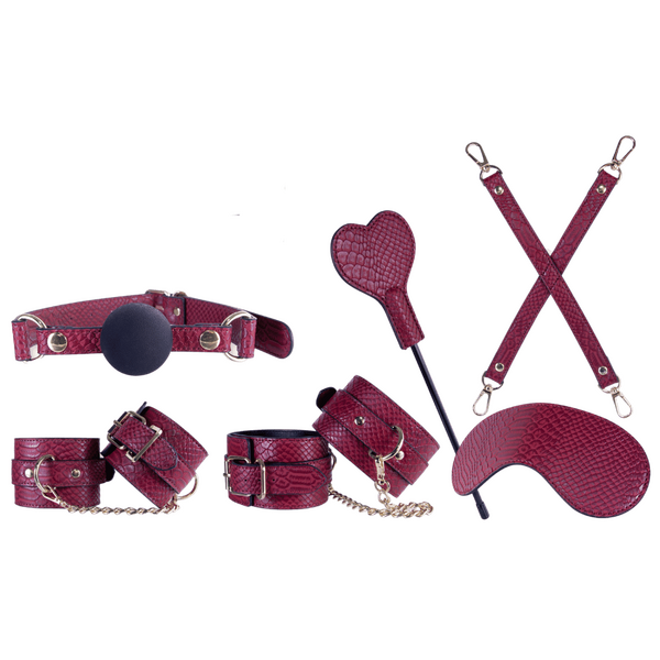 Excellent Power Sovereign Luxury Bondage Set